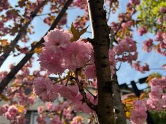 -蜀冈西峰生态公园