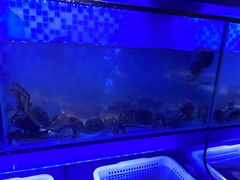 -8号公馆(金川街店)