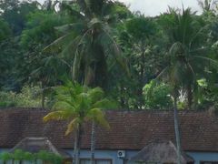 -乌布德传统市场