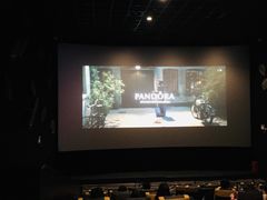 -百美汇影城(LUXE嘉里中心店)