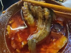 -肥龙火锅(南坪店)