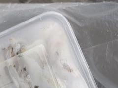 豆节干火腿馅粉皮-安上粉皮.非遗手工小吃(骑龙巷店)