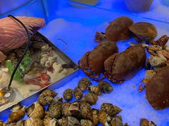 -百合酒店-香榭里自助餐厅