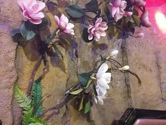 -醉小酒馆·川菜·江湖菜·重庆菜(观音桥旗舰店)