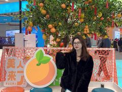 -宁波国际会展中心