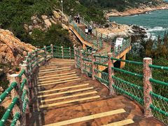 -广东惠东海龟国家级自然保护区