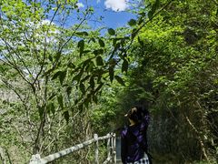 -孤山寨风景区
