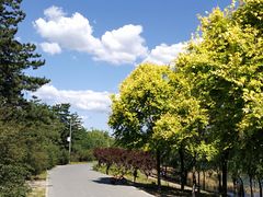 -永定河休闲森林公园