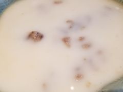 黄豆排骨-梅飞酒家(桑园路店)