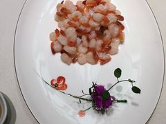 -蝶园·装修中(BFC外滩金融中心店)