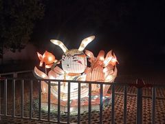 -横店影视城梦幻谷园区