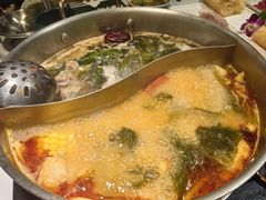 -椰子湾·海南火锅·糟粕醋·椰子鸡(正大广场店)