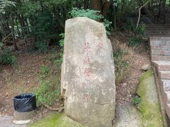 -紫金山山顶公园