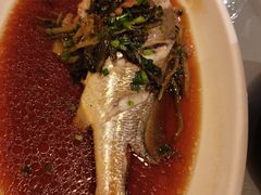 -美豪怡致酒店(上海长寿路店)