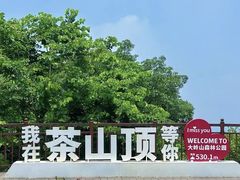 -东莞市大岭山森林公园
