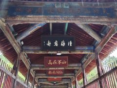 -玉泉观