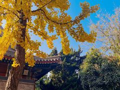-湛山寺
