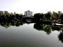 -大港湿地公园