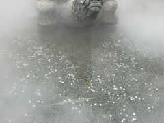 -广东圆玄道观