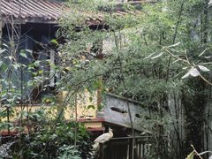 -都江堰普照寺
