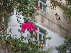 -南丫岛