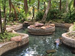 -三亚珠江南田温泉度假区