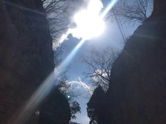 -鑫淼馫农家乐餐馆
