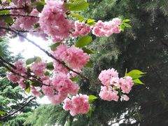 -郑州植物园