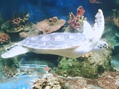 -泉州海丝野生动物世界