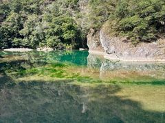-龙湾潭国家森林公园