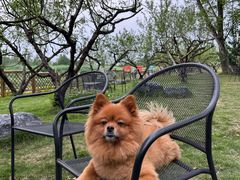 -中国天府农业博览园