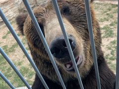 -鄂尔多斯野生动物园