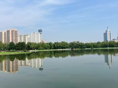 -莲花池公园