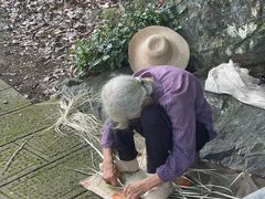 -石台牯牛降景区