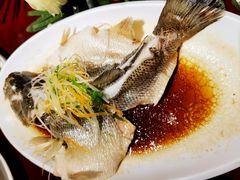 清蒸鲈鱼-屋顶花园餐厅(步行街老地王大厦店)
