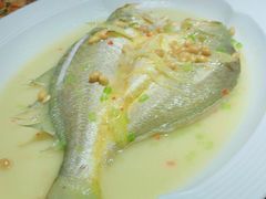 -广东道至正餐厅(区庄店)