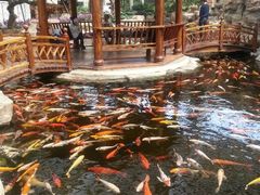 android_upload_pic-龙达温泉生态城