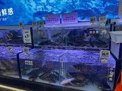 -物美超市(通州华业玫瑰店)