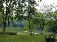-番禺大夫山森林公园