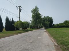 -汉长安城未央宫国家考古遗址公园