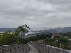 -黄贤森林公园