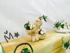 -龙大花卉苗木市场