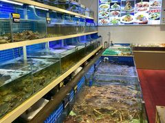 -海岛渔村大酒店(云霄路店)