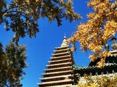 -北京石刻艺术博物馆(五塔寺)