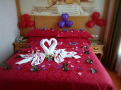 -维也纳国际酒店·佛山南海千灯湖桂城地铁站店