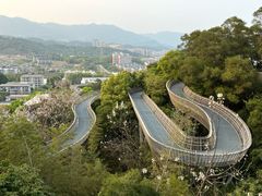 -福道