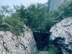 -阳台山自然风景区