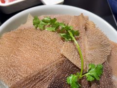 -俏媳妇火锅(宽窄巷子店)