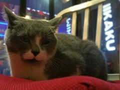 android_upload_pic-MIKAKU(万达广场上海宝山店)