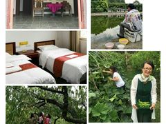 时令有机蔬菜及野菜-武汉世外桃源农庄